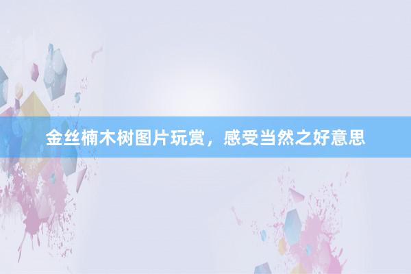 金丝楠木树图片玩赏，感受当然之好意思